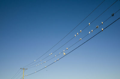 Low angle view of power cables against clear blue sky