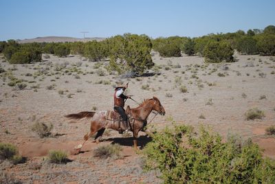 Cowboy shooting with gun while horseback riding on field