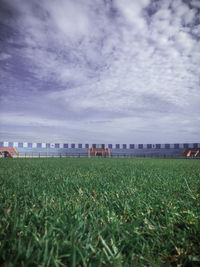 Scenic view of field against sky