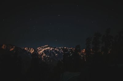 Panoramic view of trees on landscape against sky at night