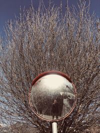 Close-up of reflection of bare tree against sky