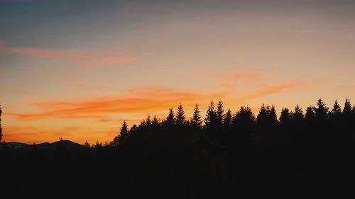 Silhouette of trees during sunset