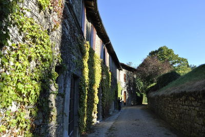 Footpath amidst trees and buildings against sky