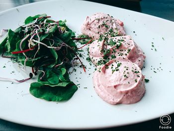 Close-up of meal served in plate