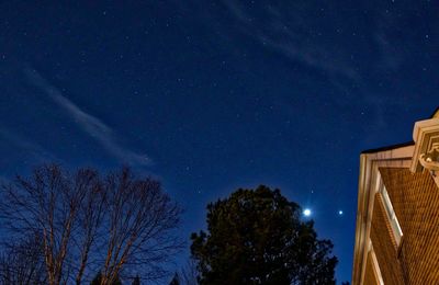 Low angle view of trees against sky at night