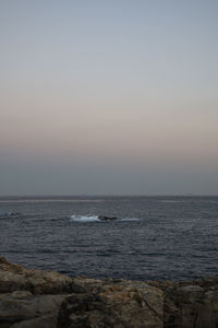 Scenic view of sea against clear sky during sunset