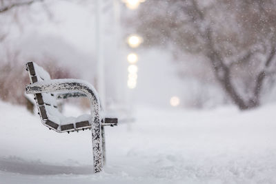 Close-up of park bench during winter