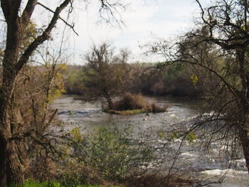 Scenic view of river against sky