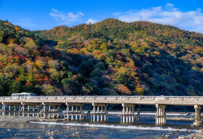Bridge over lake against trees during autumn