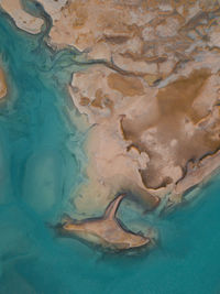 Coastal landscape in patagonia.