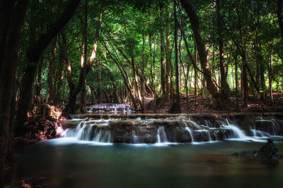 Scenic view of waterfall in forest