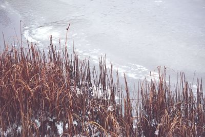 Scenic view of lake against sky during winter