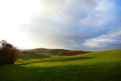 Scenic view of agricultural field against sky