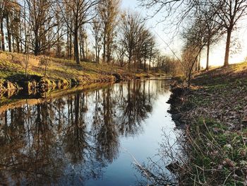 Scenic view of lake in forest against sky