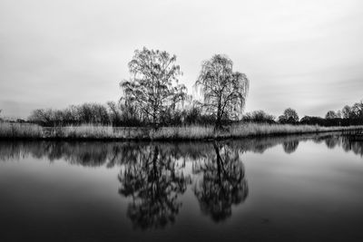 Reflection of trees in lake against sky