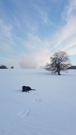 Scenic view of snow covered field against sky