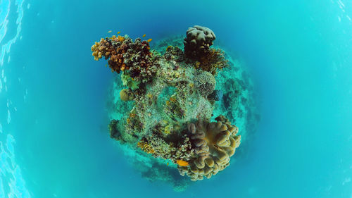 sea