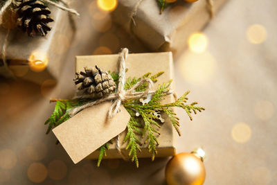 Close-up of christmas tree on plant