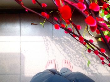 Low section of woman with pink flowers