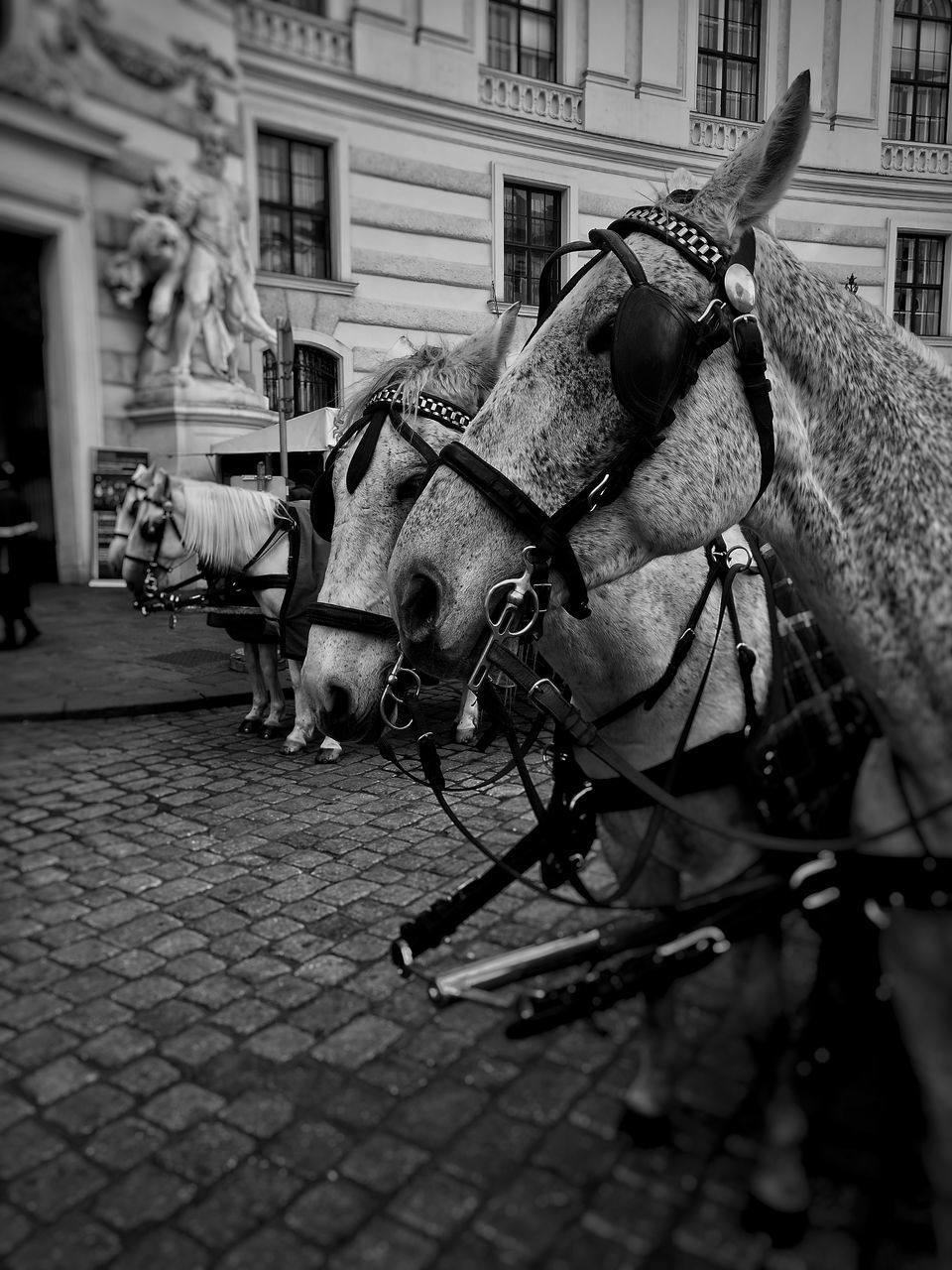 HORSE CART IN STREET