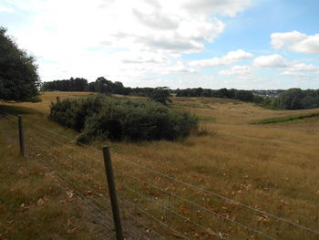 Scenic view of field against sky