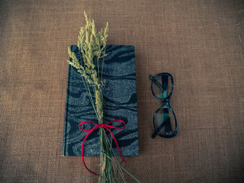 Directly above shot of diary and eyeglasses with plants on burlap
