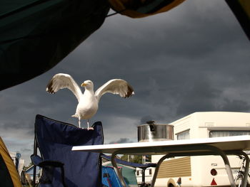 Low angle view of seagull perching on chair against cloudy sky