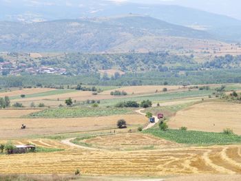 Scenic view of agricultural field