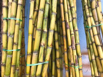 Full frame shot of bamboo