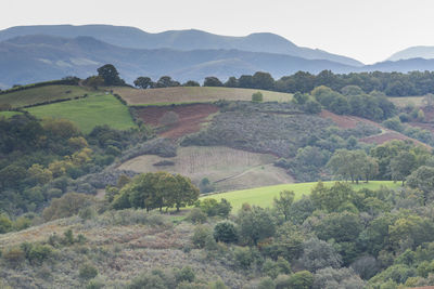 Scenic view of landscape and mountains against sky