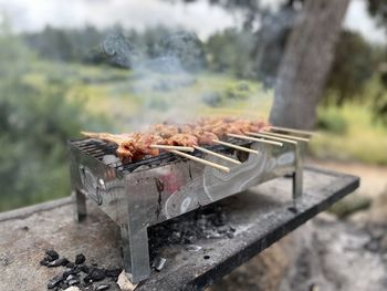 Close-up of meat on barbecue grill