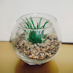 Close-up of drink in glass jar on table