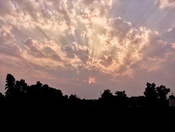 Silhouette trees against sky during sunset