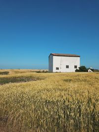 House on field against clear blue sky