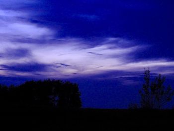 Silhouette trees against sky during sunset