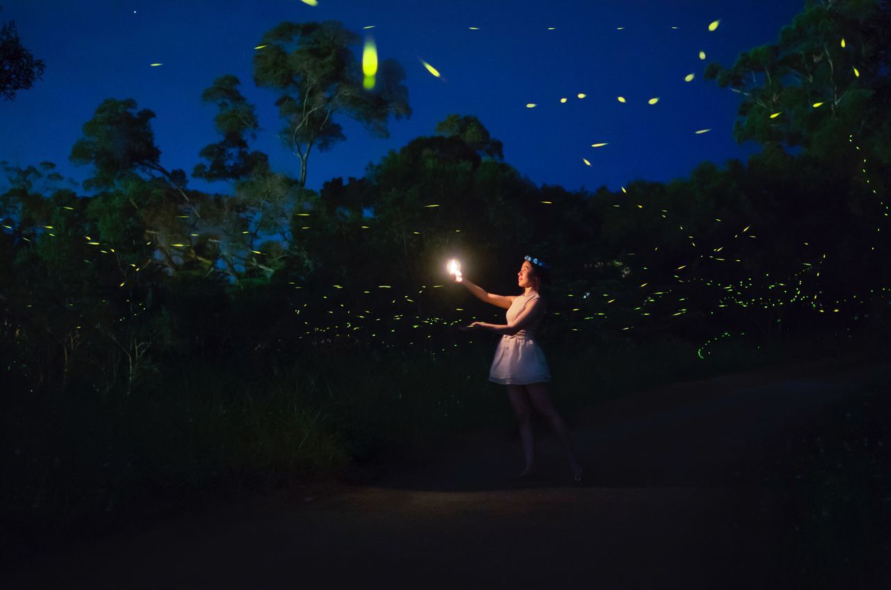 Fireflies portrait