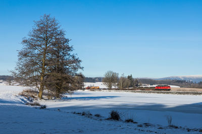 Trees on snow covered field against sky