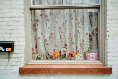 Potted plants on window sill of building