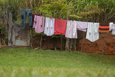 A clothesline with clothes and a green lawn