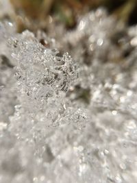 Close-up of water drops on leaf