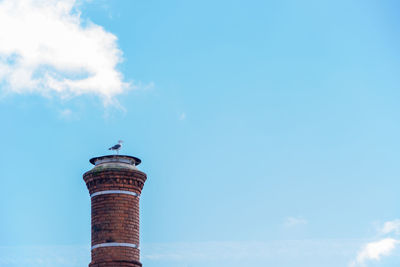Low angle view of seagull perching on tower against blue sky