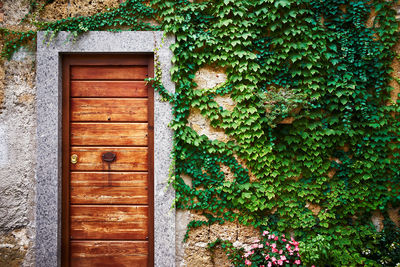 Closed door of building