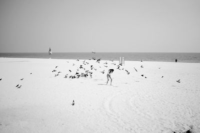 People at beach against clear sky