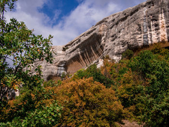 Low angle view of trees on mountain against sky