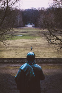 Rear view of man on tree