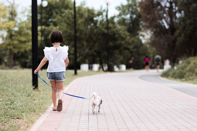 Child girl 4-5 year old walking in park with puppy chihuahua outdoors. back view.