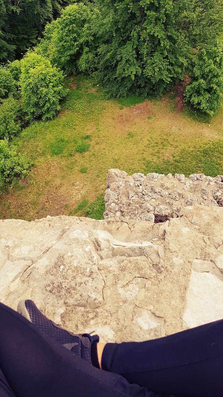 HIGH ANGLE VIEW OF ROCKS ON FIELD AGAINST TREES