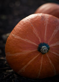 Close-up of pumpkin