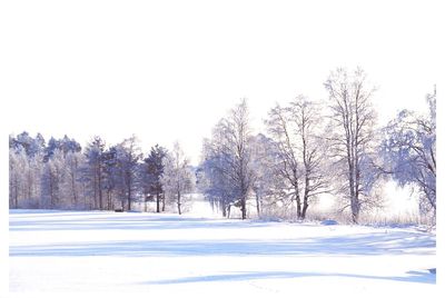 Scenic view of snow covered landscape