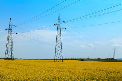 Scenic view of oilseed rape field against sky